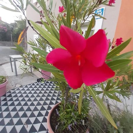 Orange Cube Apartment Rijeka Ngoại thất bức ảnh