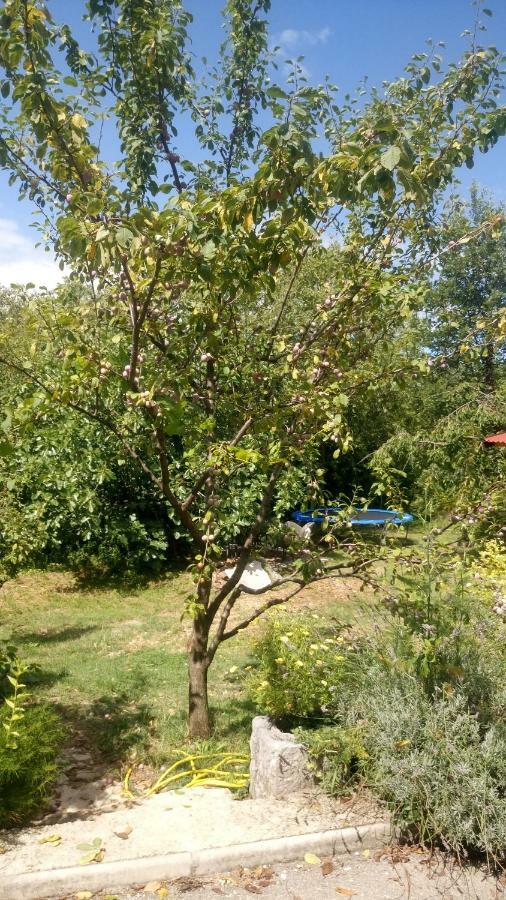 Orange Cube Apartment Rijeka Ngoại thất bức ảnh